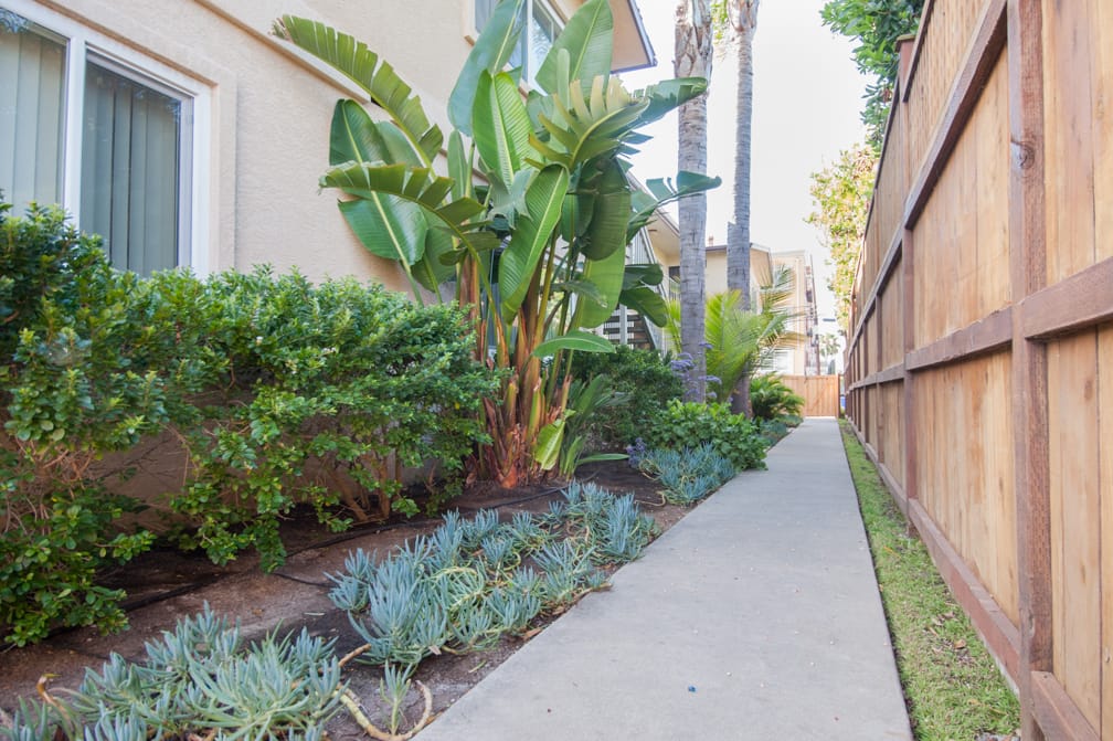 835 Agate Street PBIC