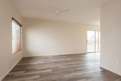 20190624_954AgateD-1