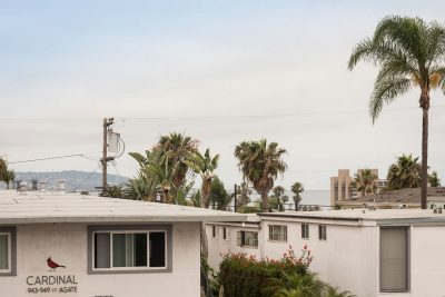 20190624_954AgateD-24