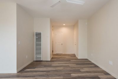 20190624_954AgateD-3