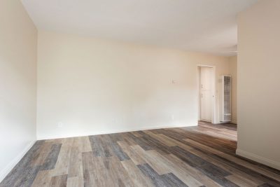 20221010_944Sapphire#6_03